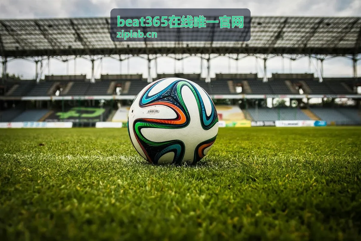 beat365在线唯一官网VIP专享优惠