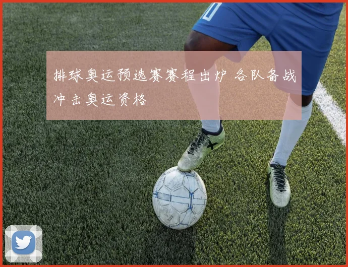 排球奥运预选赛赛程出炉 各队备战冲击奥运资格