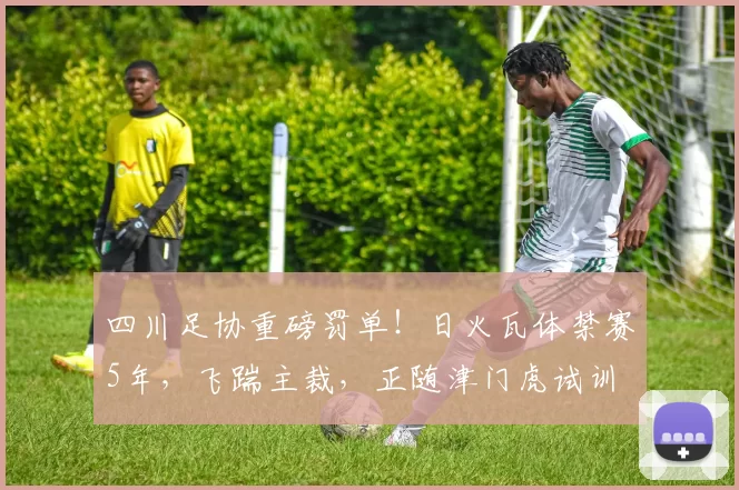 四川足协重磅罚单！日火瓦体禁赛5年，飞踹主裁，正随津门虎试训