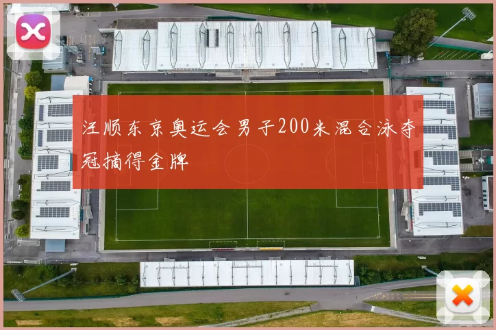 汪顺东京奥运会男子200米混合泳夺冠摘得金牌