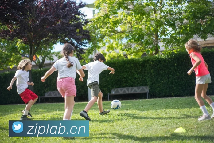 kaiyun体育在线登陆入口(China)官方网站APP 高清赛事图